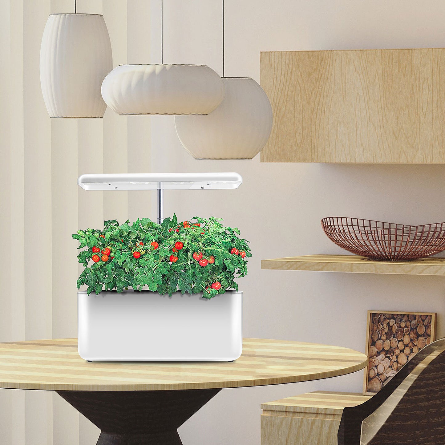 Plant Growth System - Bp Goods