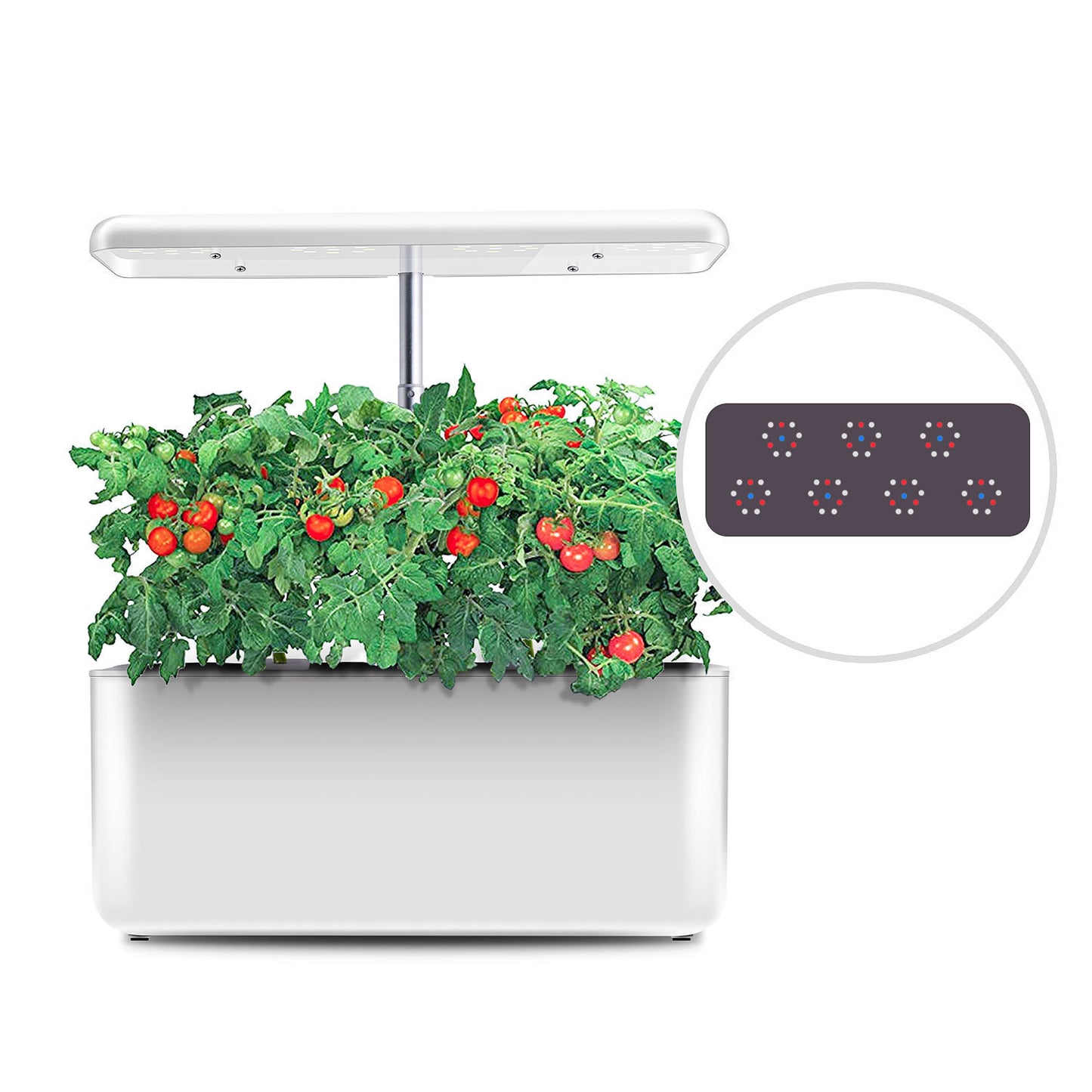 Plant Growth System - Bp Goods