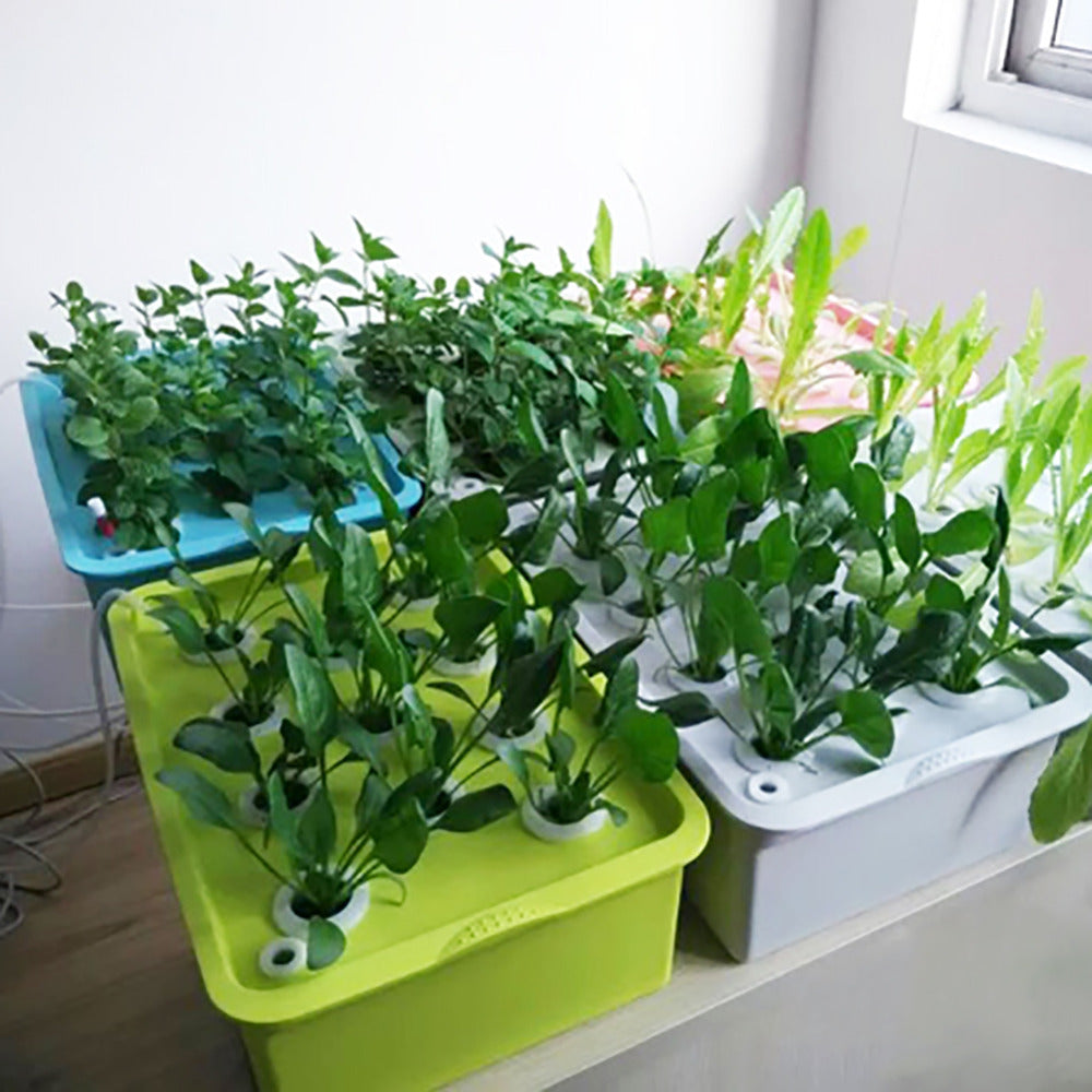 Mini - Crop Indoor Seed System